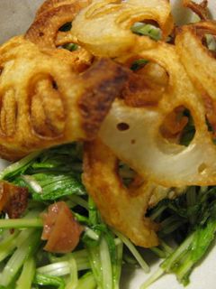 シャキシャキ蓮根と水菜の梅酢和え-レシピのメイン写真