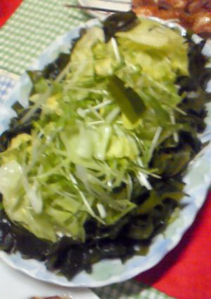 初心者の簡単♪豆腐とわかめのサラダ-レシピのメイン写真