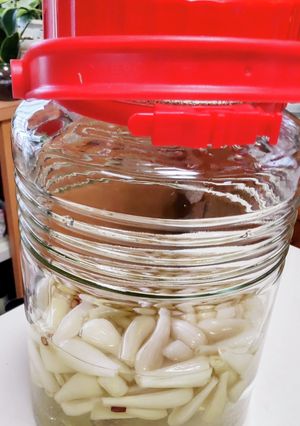らっきょう酢で簡単に♪らっきょう漬け-レシピのメイン写真