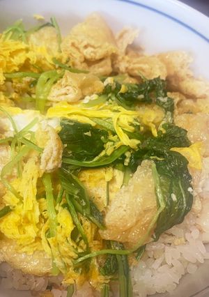 油揚げのカレー風味卵とじ　100円-レシピのメイン写真