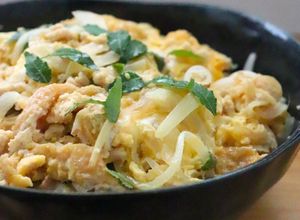 家族に人気★鶏ミンチ油揚げ新玉ねぎの丼-レシピのメイン写真