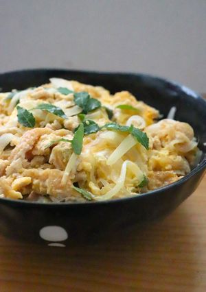 家族に人気★鶏ミンチ油揚げ新玉ねぎの丼-レシピのメイン写真