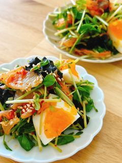 ゆで卵と豆苗の海苔キムチ和え-レシピのメイン写真
