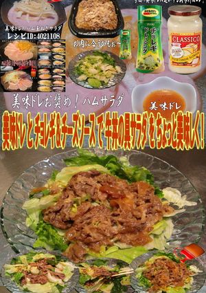 美味ドレとチョレギチーズで牛丼の具サラダ-レシピのメイン写真