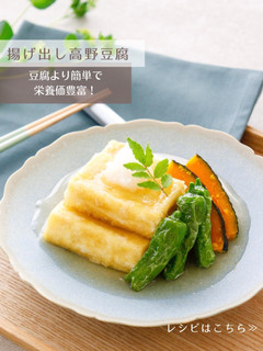 揚げ出し高野豆腐-レシピのメイン写真