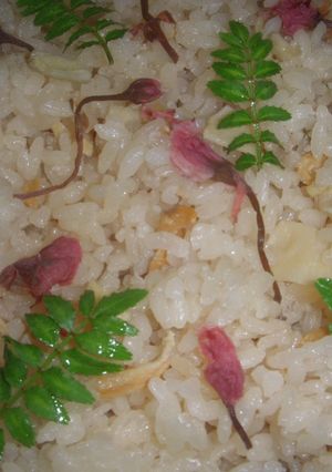 筍御飯-レシピのメイン写真