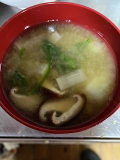 簡単!しじみ☆みそ汁☆八丁味噌ベース by pomi 【クックパッド 簡単!しじみ☆みそ汁☆八丁味噌ベース by pomi 【クックパッド