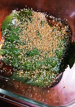 大葉のごま酢醤油　ごはんのおとも-レシピのメイン写真