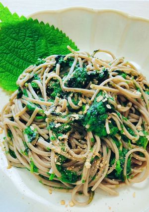 海苔とカラムシの蕎麦ジェノベーゼ-レシピのメイン写真