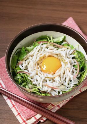 簡単！どっさり薬味のシラス丼-レシピのメイン写真