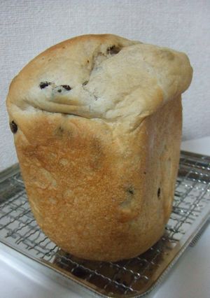 米粉入りレーズン食パン-レシピのメイン写真