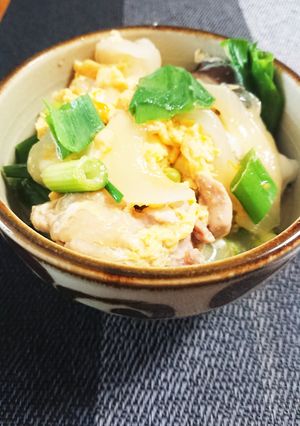 具材たくさんの親子丼-レシピのメイン写真