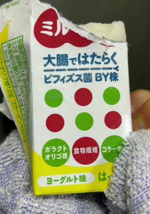栄養満点！ミルミルアイス/ジェラート食感-レシピのメイン写真