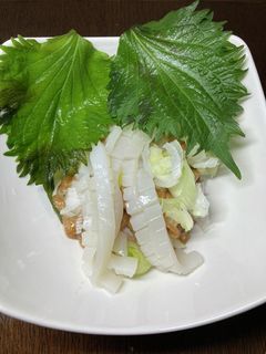 酒のつまみ 納豆とイカの刺身 203-レシピのメイン写真