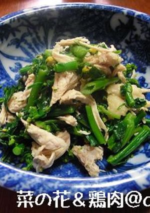 菜の花と鶏肉のからしあえ-レシピのメイン写真