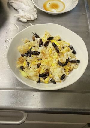 コオロギチャーハン-レシピのメイン写真