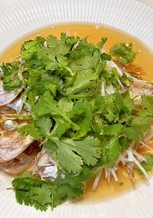 清蒸鮮魚（メバル）-レシピのメイン写真