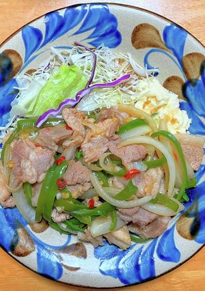 豚ロース肉とピーマンと玉ネギの中華炒め-レシピのメイン写真