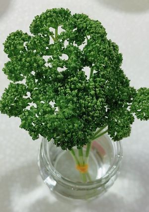 我が家のパセリの保存方法-レシピのメイン写真