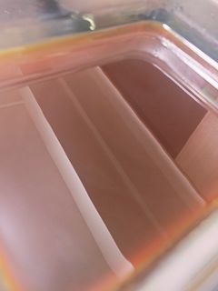 珈琲ゼリー(アガー使用)-レシピのメイン写真