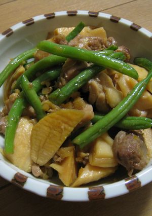 たけのこと鶏肉の炊いたん-レシピのメイン写真