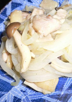 新たまねぎと鶏もも肉の炒め物-レシピのメイン写真