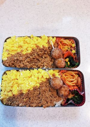 高校生弁当覚え書き302二色丼-レシピのメイン写真