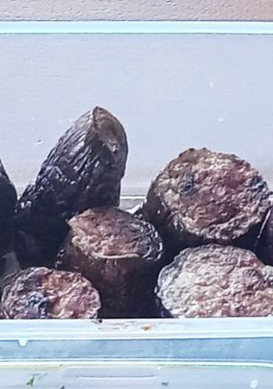 茄子の肉詰め-レシピのメイン写真