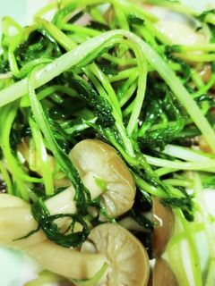 塩こんぶ炒め お酢がけ-レシピのメイン写真