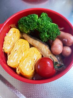 JKのっけ弁当2024/05/16-レシピのメイン写真
