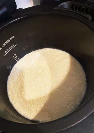 手作り豆腐（ホットクック）-レシピのメイン写真