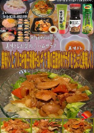 美味ドレプルコギ柚子胡椒チョレギ豆鼓炒め-レシピのメイン写真