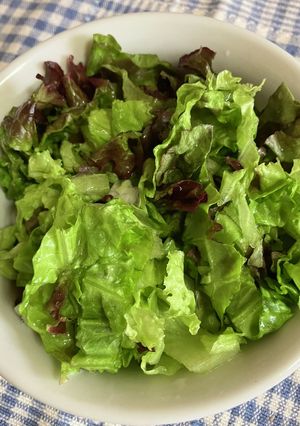 簡単なシンプル生野菜サラダ^_^-レシピのメイン写真