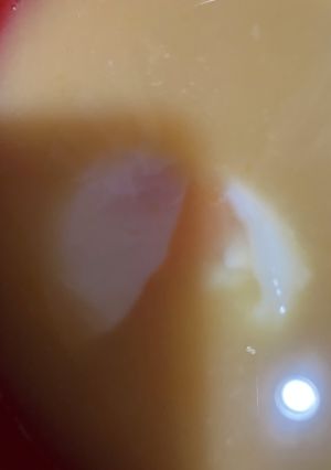オガタ家　朝食　温泉玉子の味噌汁-レシピのメイン写真