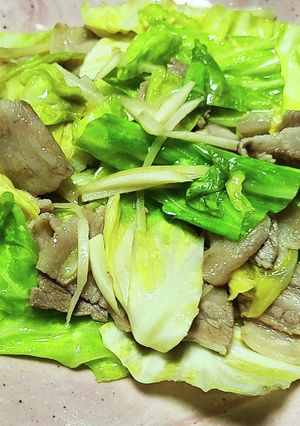 豚バラキャベツの生姜塩炒め-レシピのメイン写真