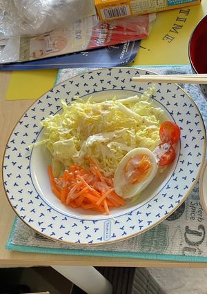 白菜サラダ-レシピのメイン写真