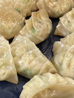 黄金比率の餃子-レシピのメイン写真