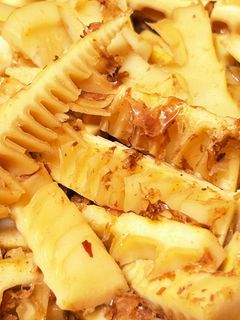 たけのこ(破竹)土佐煮-レシピのメイン写真