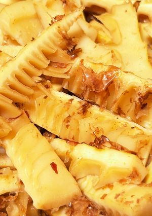 たけのこ（破竹）土佐煮-レシピのメイン写真