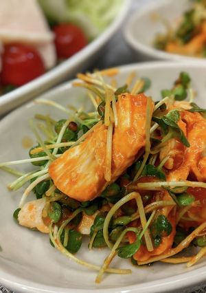 鶏むね肉とカイワレのヘルシー韓国和え-レシピのメイン写真