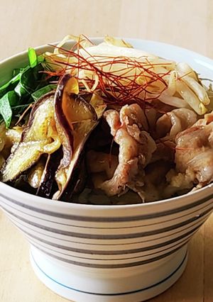 豚ナスもやし丼☆1人ランチ☆たんぱく質-レシピのメイン写真
