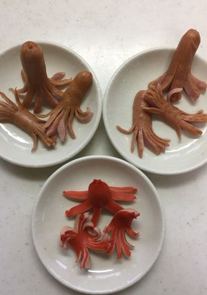 簡単　ウインナー　飾切り　半冷凍　コツ-レシピのメイン写真