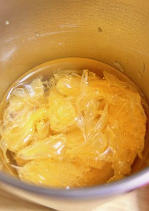 ハッサク日本酒ハイボール-レシピのメイン写真