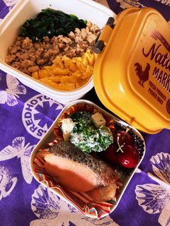 JK弁当 三色丼と鮭の塩焼き-レシピのメイン写真