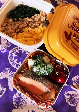 JK弁当　三色丼と鮭の塩焼き-レシピのメイン写真