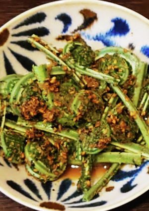 こごみの胡麻和え-レシピのメイン写真