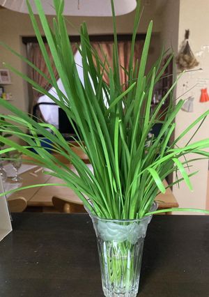 ニラの保存法-レシピのメイン写真