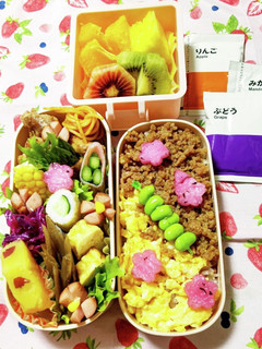今日のお弁当♪鶏そぼろと玉子の2色ごはん-レシピのメイン写真