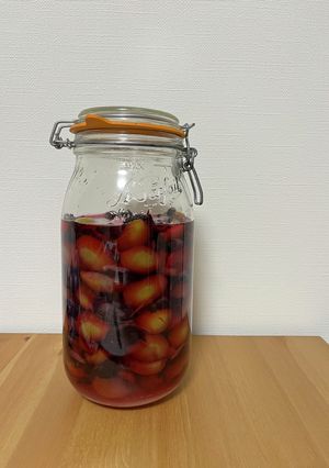 梅好きは絶対作って！爽やか梅の焼酎漬け-レシピのメイン写真