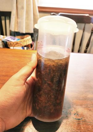梅肉たっぷり和風昆布つゆドレッシング-レシピのメイン写真